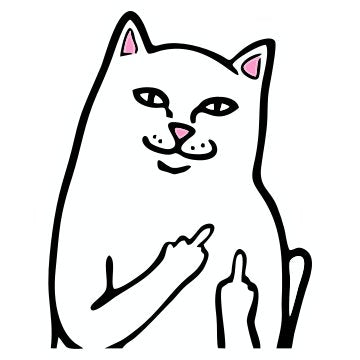 Meme Cat
