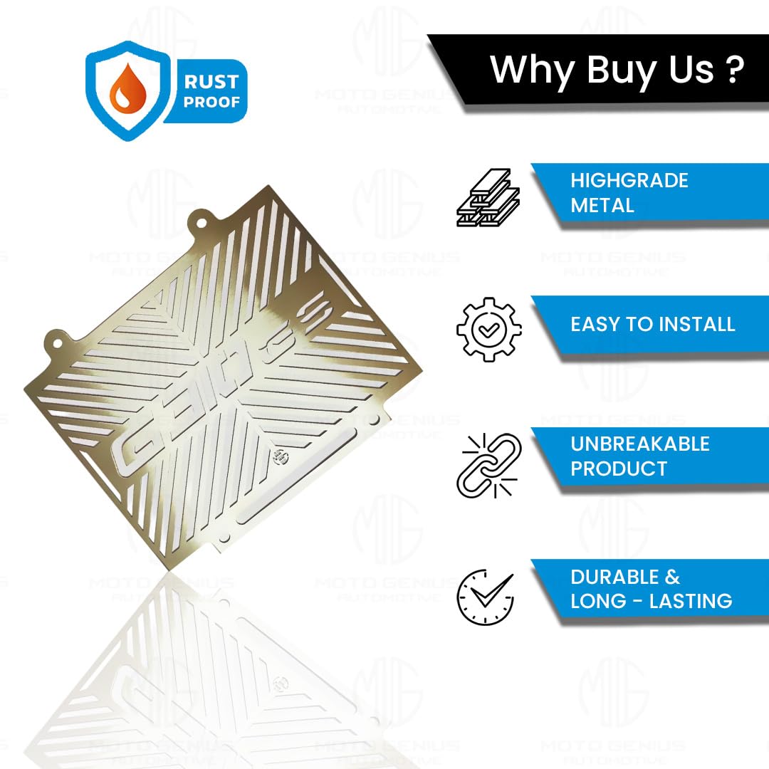 Radiator Guard for G310 GS Motorbike | Durable Stainless Steel Protector |Essential Accessory for Motorcycle Radiator Protection - Moto Genius