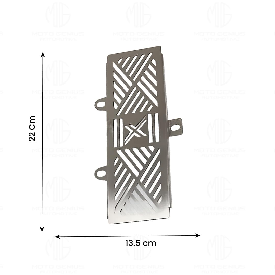 Radiator Guard for Xpulse ( Old ) | Durable Stainless Steel Protector |Essential Accessory for Motorcycle Radiator Protection (Line Design)-Silver - Moto Genius