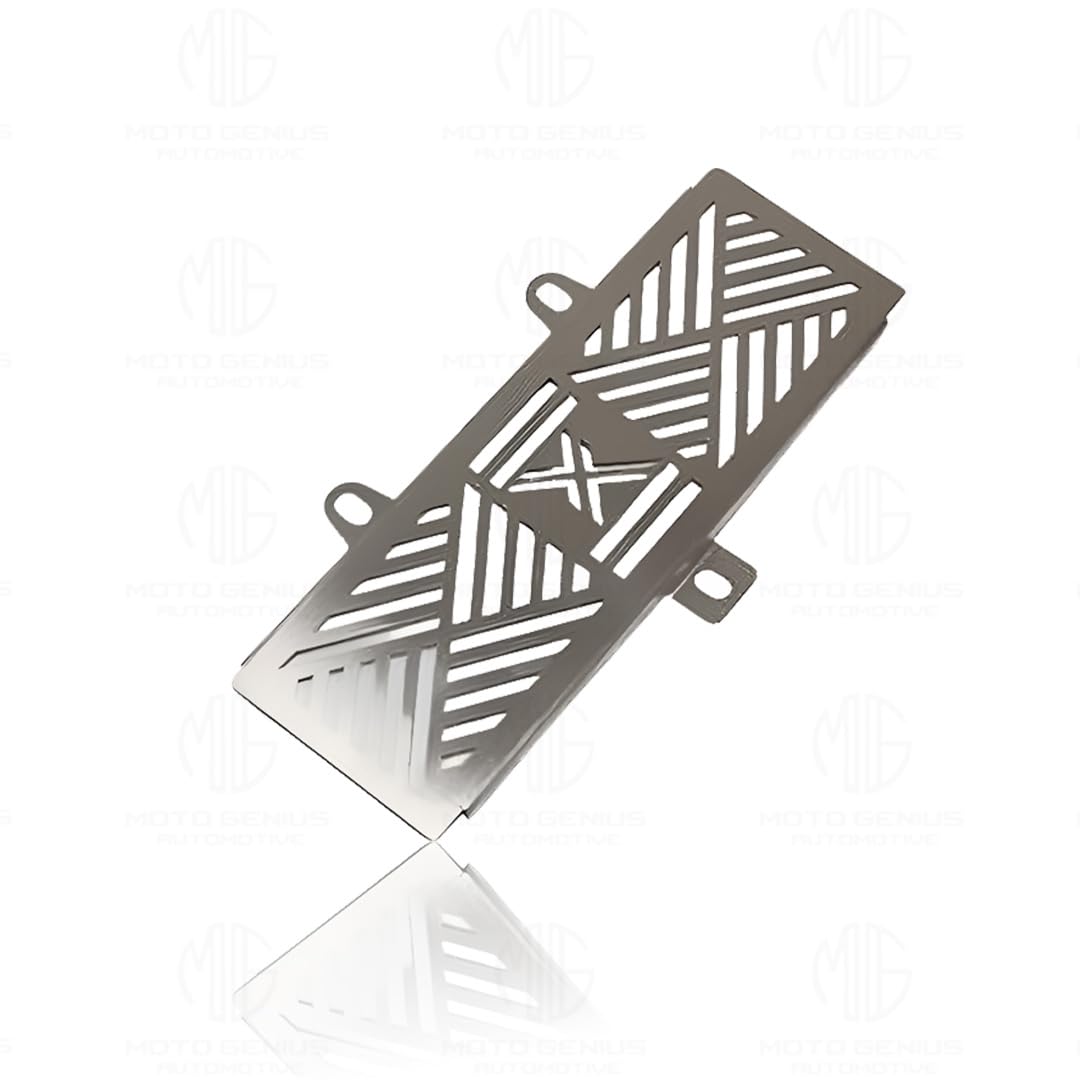 MOTO GENIUS Radiator Guard for Xpulse | Durable Stainless Steel Protector |Essential Accessory for Motorcycle Radiator Protection (Line Design)