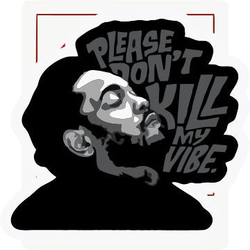 Please Don t Kill my Vibe