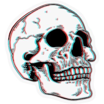 Skeleton Head