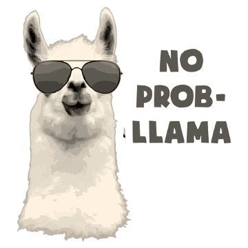 No Probllama 3D Vinyl Sticker Waterproof Decals for Motorcycle, Helmet & Laptop | Edgy Aesthetic Stickers for Bikes and cars - Moto Genius